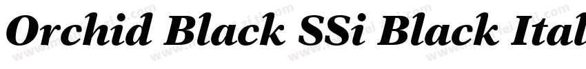 Orchid Black SSi Black Italic字体转换